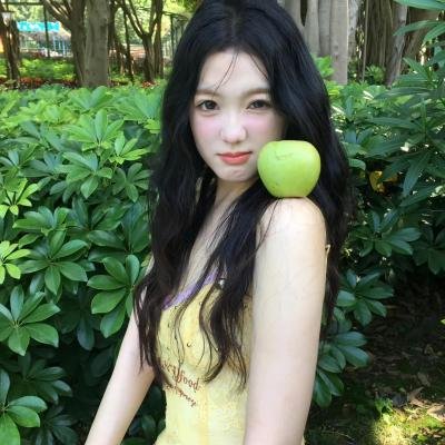 玩具熊的五夜后宫